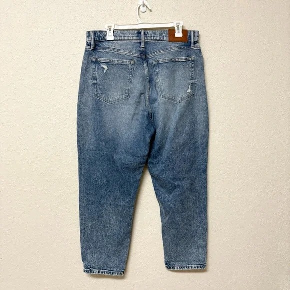 Lucky Brand Drew Mom Jeans High Rise Button Fly Taper Blue Distressed Sz 14/32A - Picture 3 of 7